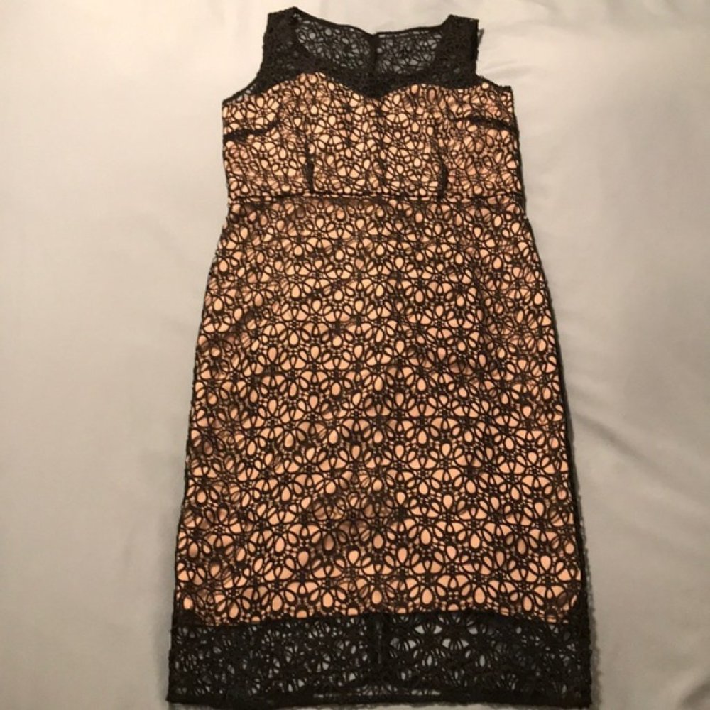 NWT~ ANN TAYLOR Lace Overlay Midi Dress